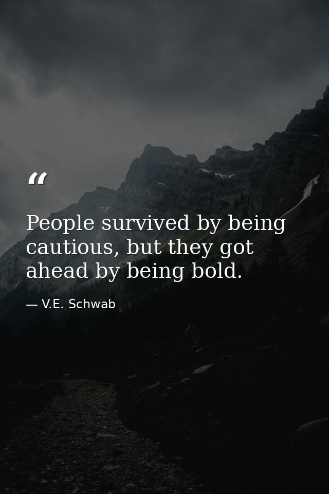 People survived by being cautious, but they got ahead by being bold. — V.E. Schwab
