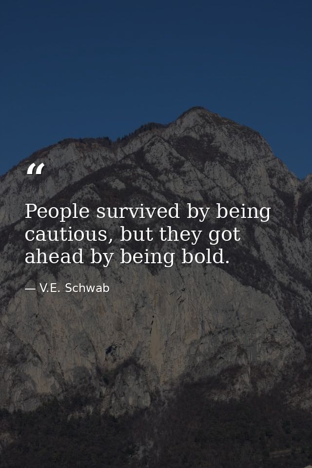 People survived by being cautious, but they got ahead by being bold. — V.E. Schwab