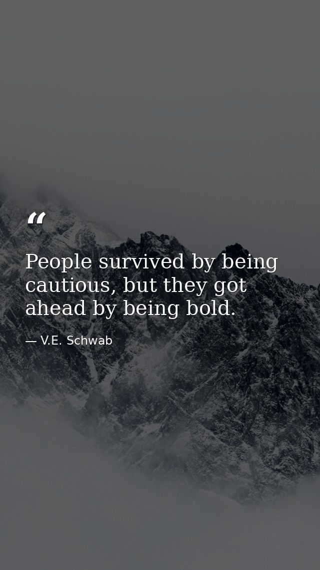 People survived by being cautious, but they got ahead by being bold. — V.E. Schwab