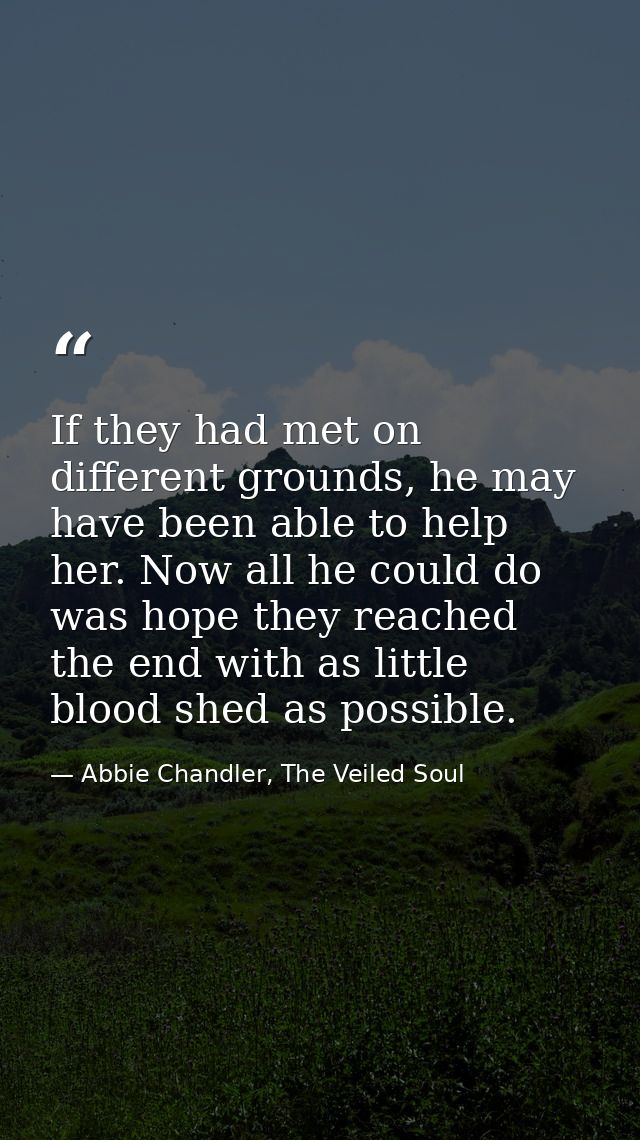 If they had met on different grounds, he may have been able to help her. Now all he could do was hope they reached the e — Abbie Chandler, The Veiled Soul