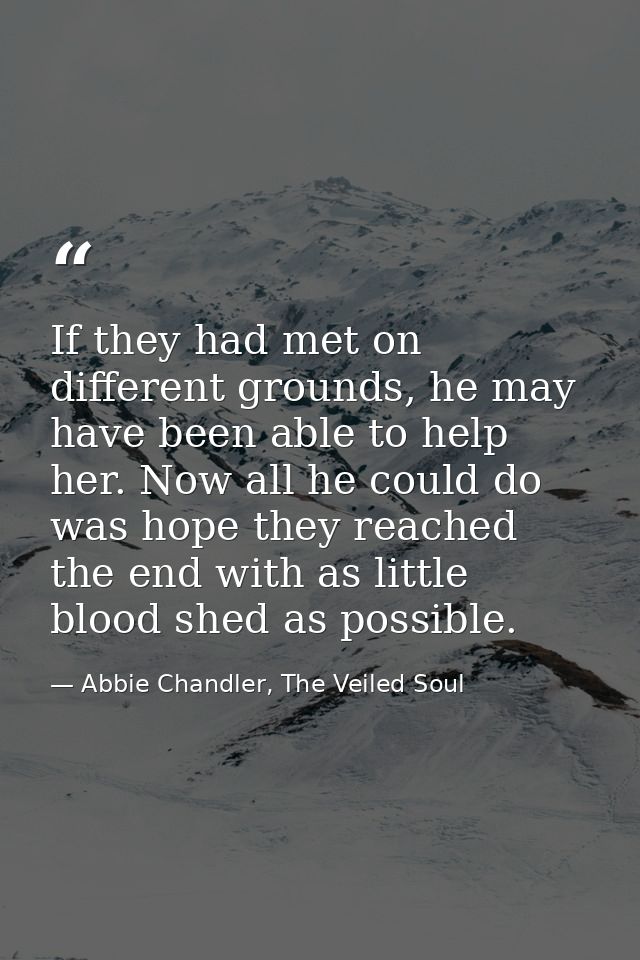 If they had met on different grounds, he may have been able to help her. Now all he could do was hope they reached the e — Abbie Chandler, The Veiled Soul