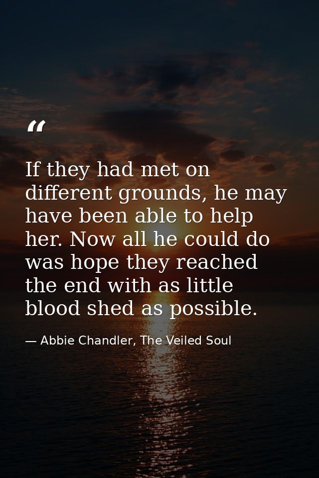 If they had met on different grounds, he may have been able to help her. Now all he could do was hope they reached the e — Abbie Chandler, The Veiled Soul