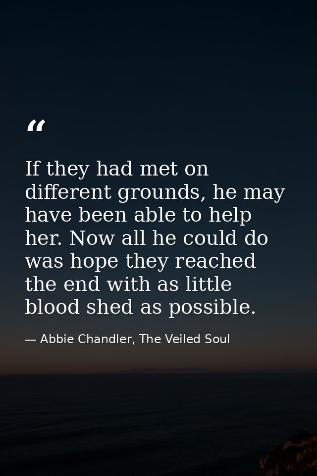 If they had met on different grounds, he may have been able to help her. Now all he could do was hope they reached the e — Abbie Chandler, The Veiled Soul