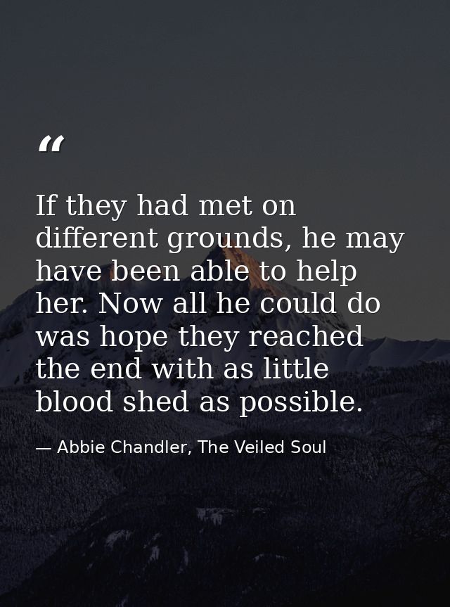 If they had met on different grounds, he may have been able to help her. Now all he could do was hope they reached the e — Abbie Chandler, The Veiled Soul