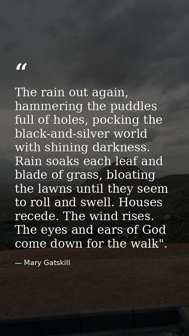 The rain out again, hammering the puddles full of holes, pocking the black-and-silver world with shining darkness. Rain  — Mary Gatskill