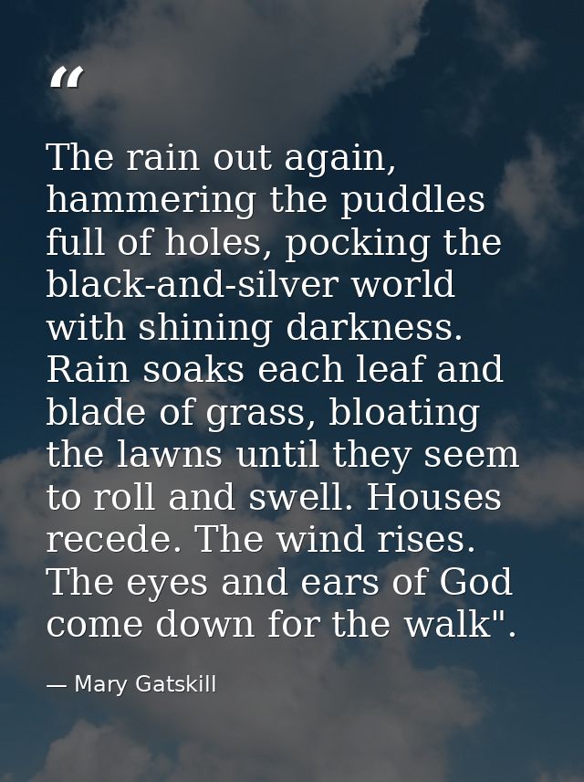 The rain out again, hammering the puddles full of holes, pocking the black-and-silver world with shining darkness. Rain  — Mary Gatskill