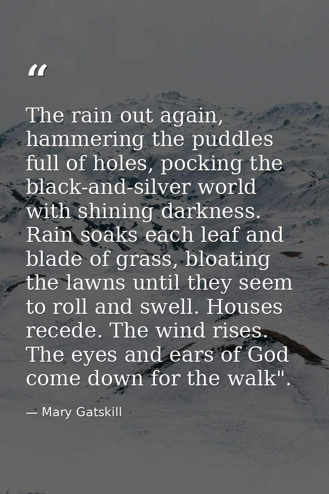 The rain out again, hammering the puddles full of holes, pocking the black-and-silver world with shining darkness. Rain  — Mary Gatskill