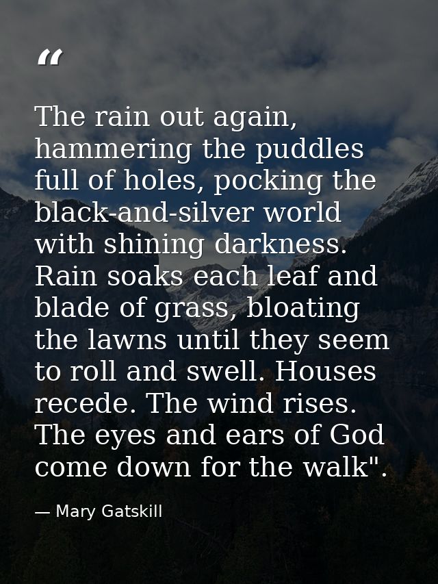 The rain out again, hammering the puddles full of holes, pocking the black-and-silver world with shining darkness. Rain  — Mary Gatskill