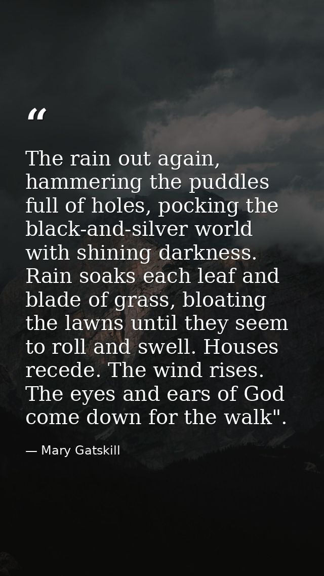 The rain out again, hammering the puddles full of holes, pocking the black-and-silver world with shining darkness. Rain  — Mary Gatskill