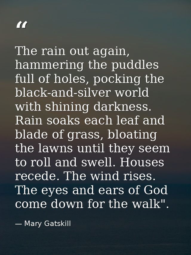 The rain out again, hammering the puddles full of holes, pocking the black-and-silver world with shining darkness. Rain  — Mary Gatskill