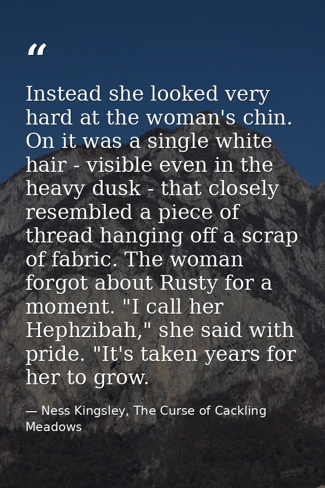 Instead she looked very hard at the woman's chin. On it was a single white hair - visible even in the heavy dusk - that  — Ness Kingsley, The Curse of Cackling Meadows