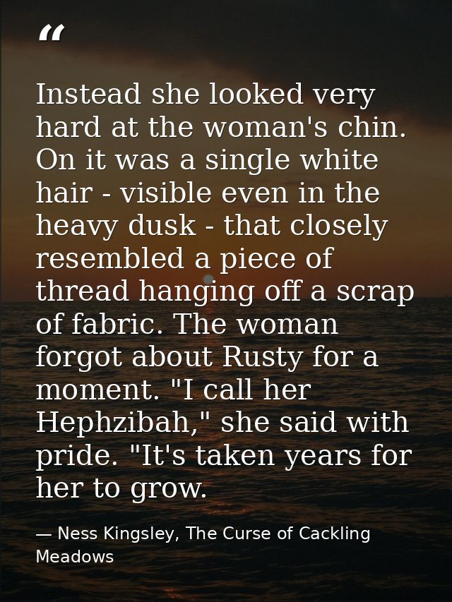 Instead she looked very hard at the woman's chin. On it was a single white hair - visible even in the heavy dusk - that  — Ness Kingsley, The Curse of Cackling Meadows