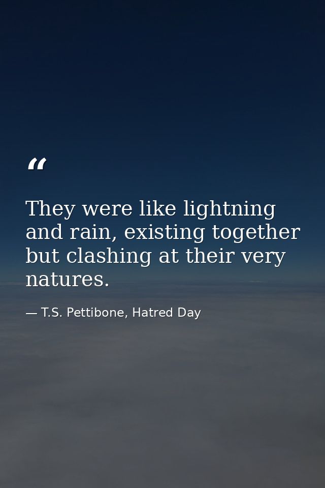 They were like lightning and rain, existing together but clashing at their very natures. — T.S. Pettibone, Hatred Day