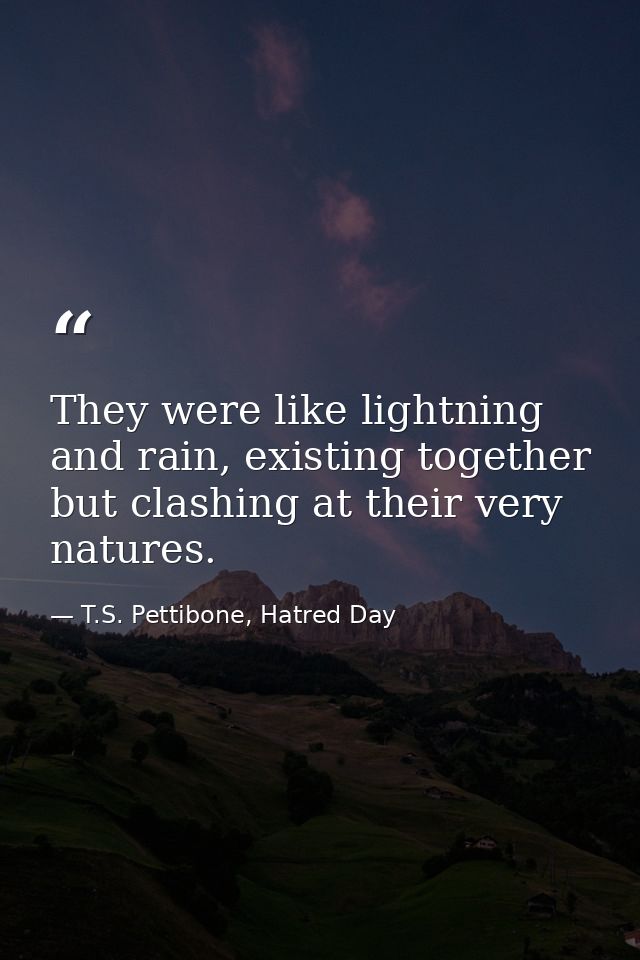 They were like lightning and rain, existing together but clashing at their very natures. — T.S. Pettibone, Hatred Day