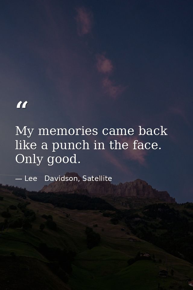 My memories came back like a punch in the face. Only good. — Lee   Davidson, Satellite