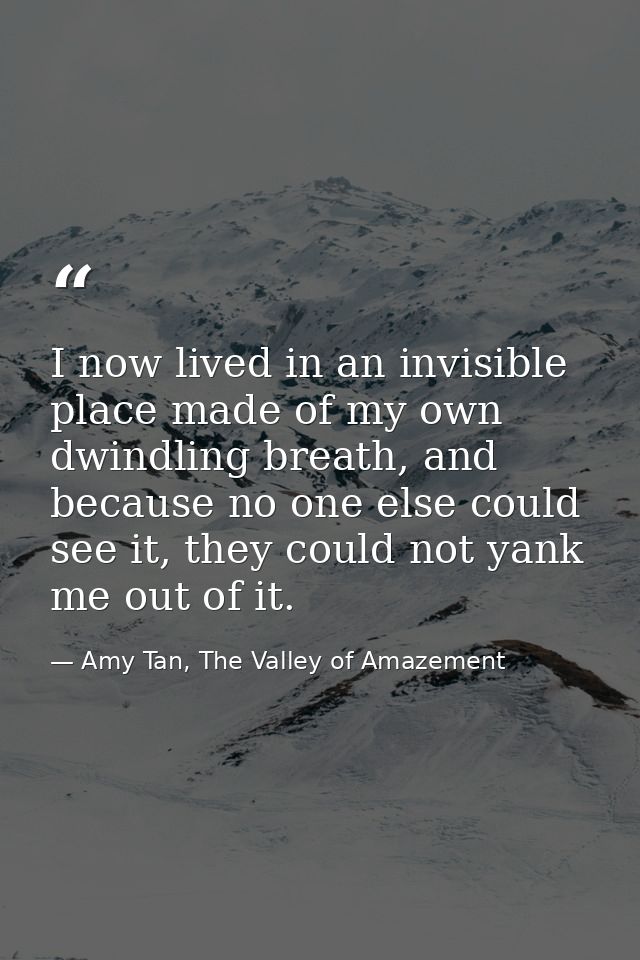 I now lived in an invisible place made of my own dwindling breath, and because no one else could see it, they could not  — Amy Tan, The Valley of Amazement