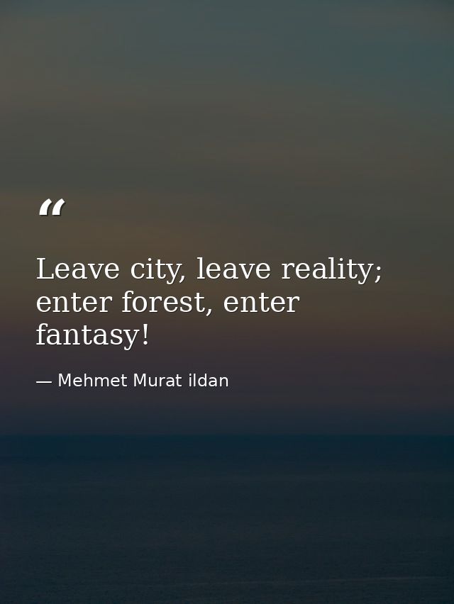 Leave city, leave reality; enter forest, enter fantasy! — Mehmet Murat ildan