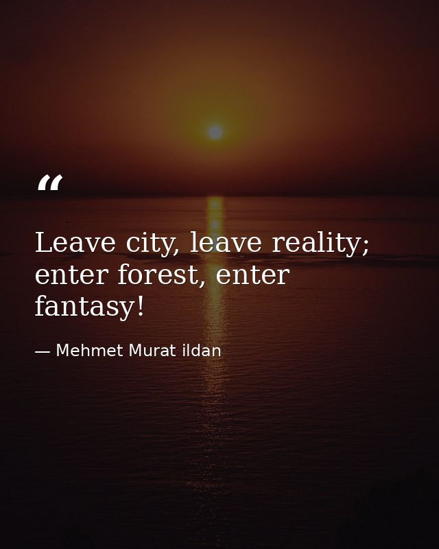 Leave city, leave reality; enter forest, enter fantasy! — Mehmet Murat ildan