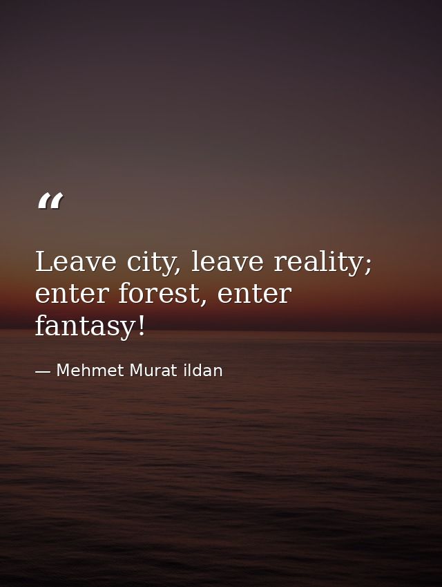 Leave city, leave reality; enter forest, enter fantasy! — Mehmet Murat ildan