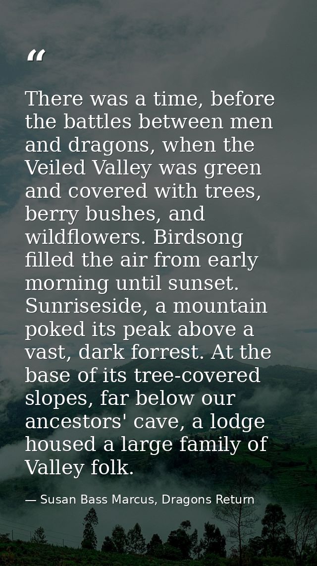 There was a time, before the battles between men and dragons, when the Veiled Valley was green and covered with trees, b — Susan Bass Marcus, Dragons Return