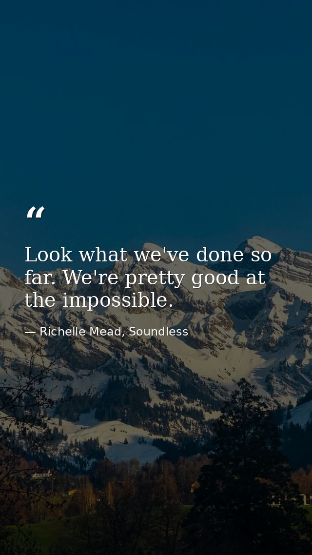 Look what we've done so far. We're pretty good at the impossible. — Richelle Mead, Soundless