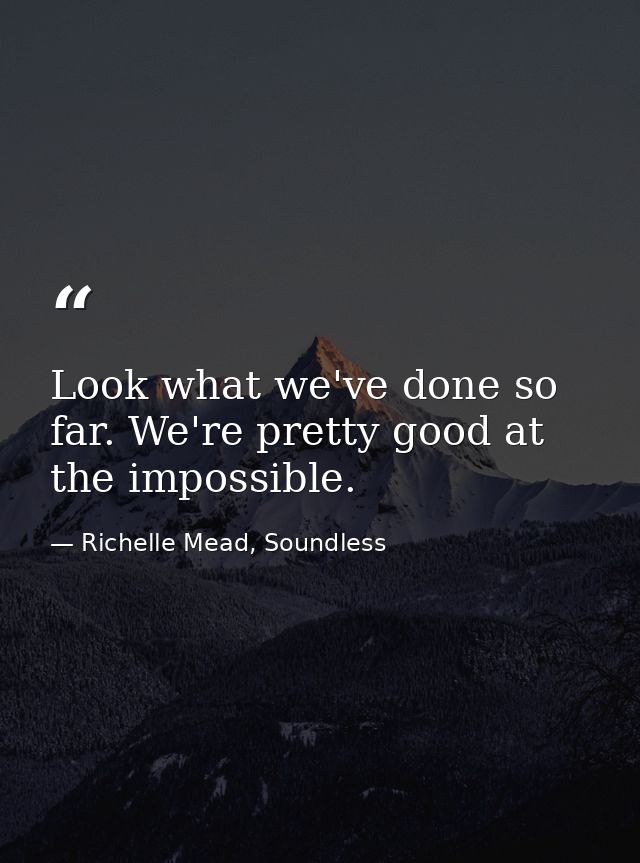 Look what we've done so far. We're pretty good at the impossible. — Richelle Mead, Soundless