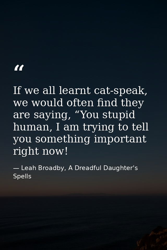 If we all learnt cat-speak, we would often find they are saying, “You stupid human, I am trying to tell you something im — Leah Broadby, A Dreadful Daughter's Spells