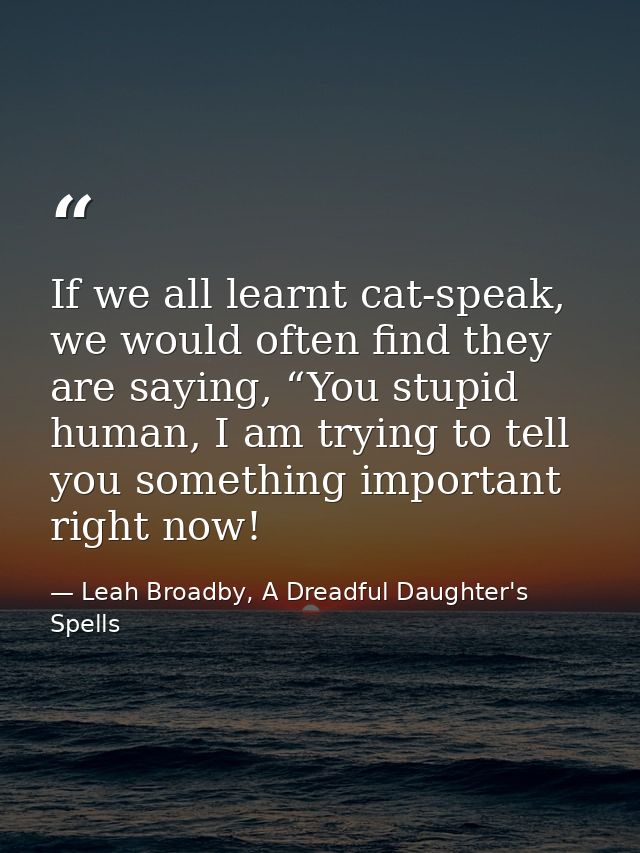 If we all learnt cat-speak, we would often find they are saying, “You stupid human, I am trying to tell you something im — Leah Broadby, A Dreadful Daughter's Spells
