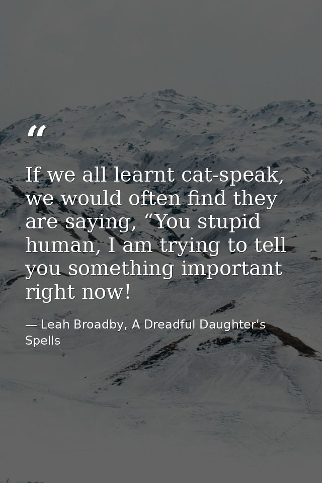 If we all learnt cat-speak, we would often find they are saying, “You stupid human, I am trying to tell you something im — Leah Broadby, A Dreadful Daughter's Spells