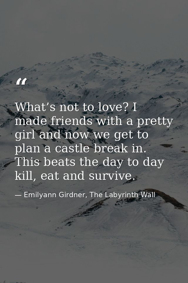 What’s not to love? I made friends with a pretty girl and now we get to plan a castle break in. This beats the day to da — Emilyann Girdner, The Labyrinth Wall