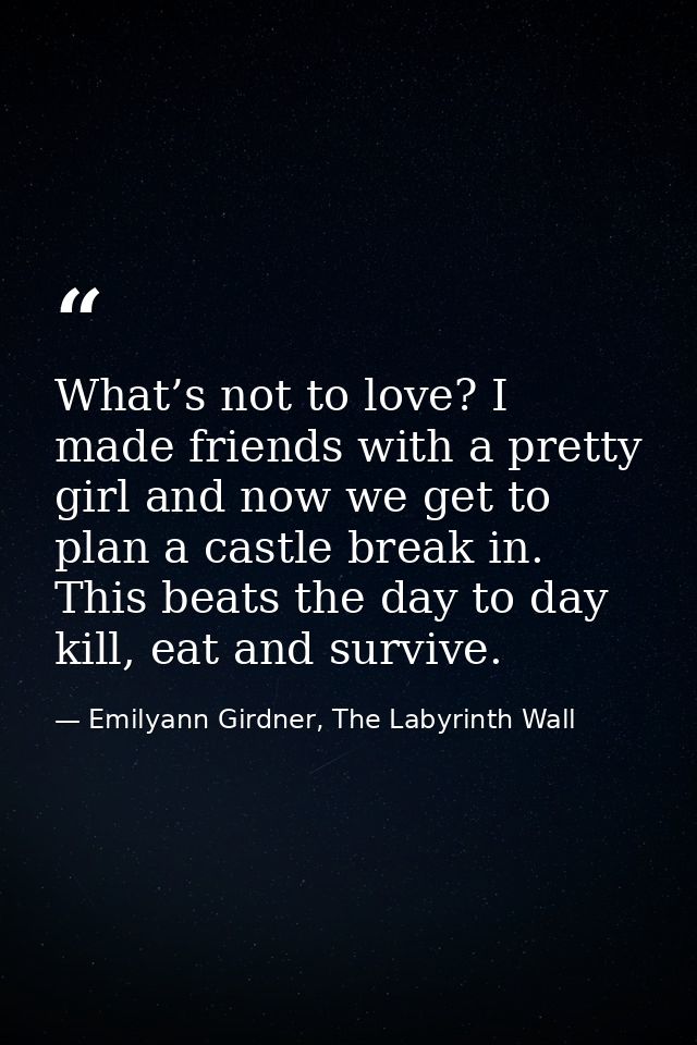 What’s not to love? I made friends with a pretty girl and now we get to plan a castle break in. This beats the day to da — Emilyann Girdner, The Labyrinth Wall