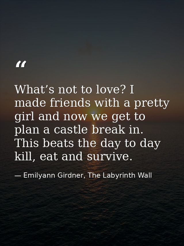 What’s not to love? I made friends with a pretty girl and now we get to plan a castle break in. This beats the day to da — Emilyann Girdner, The Labyrinth Wall