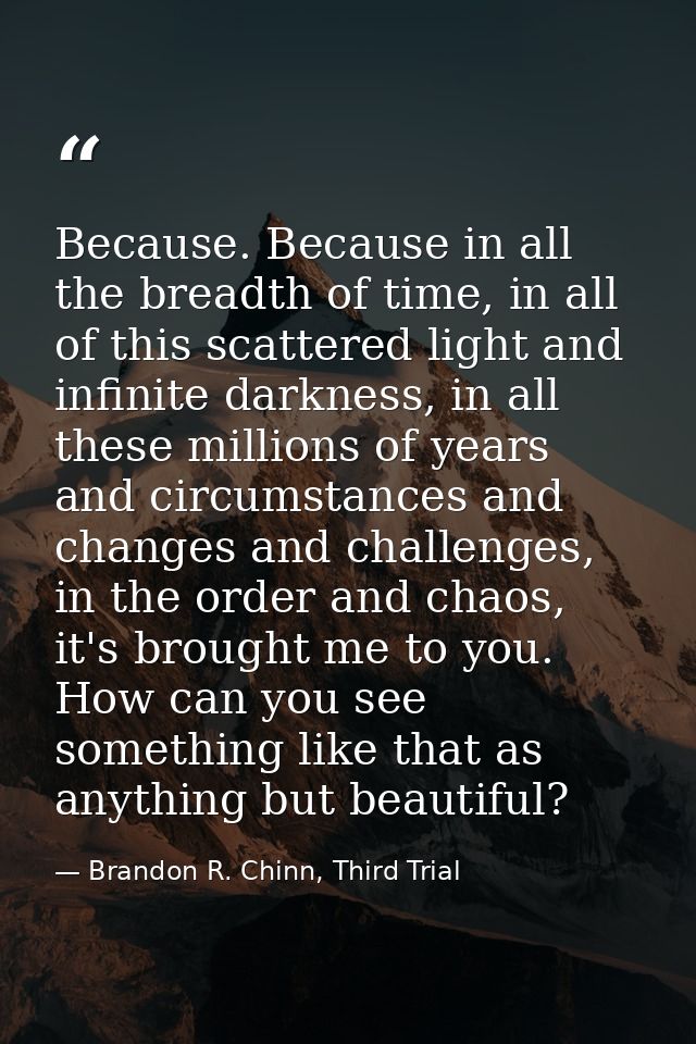 Because. Because in all the breadth of time, in all of this scattered light and infinite darkness, in all these millions — Brandon R. Chinn, Third Trial