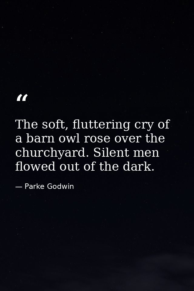 The soft, fluttering cry of a barn owl rose over the churchyard. Silent men flowed out of the dark. — Parke Godwin