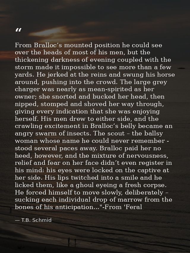 From Bralloc’s mounted position he could see over the heads of most of his men, but the thickening darkness of evening c — T.B. Schmid