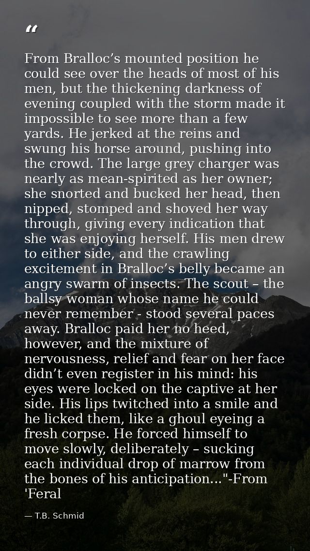 From Bralloc’s mounted position he could see over the heads of most of his men, but the thickening darkness of evening c — T.B. Schmid