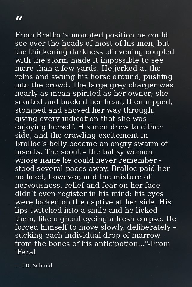 From Bralloc’s mounted position he could see over the heads of most of his men, but the thickening darkness of evening c — T.B. Schmid