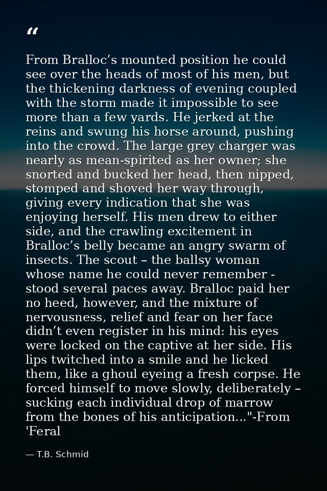 From Bralloc’s mounted position he could see over the heads of most of his men, but the thickening darkness of evening c — T.B. Schmid