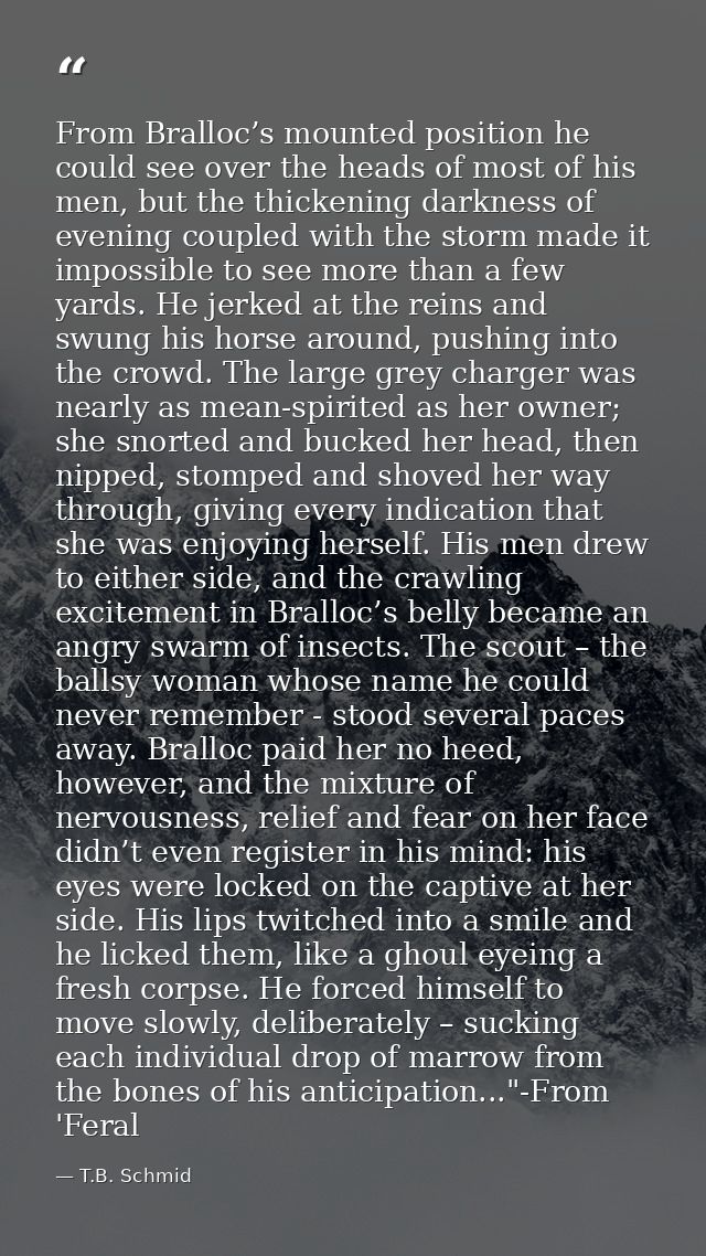 From Bralloc’s mounted position he could see over the heads of most of his men, but the thickening darkness of evening c — T.B. Schmid