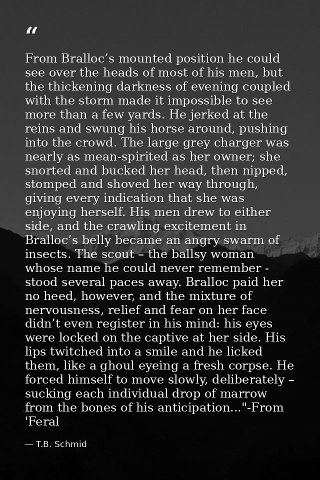 From Bralloc’s mounted position he could see over the heads of most of his men, but the thickening darkness of evening c — T.B. Schmid