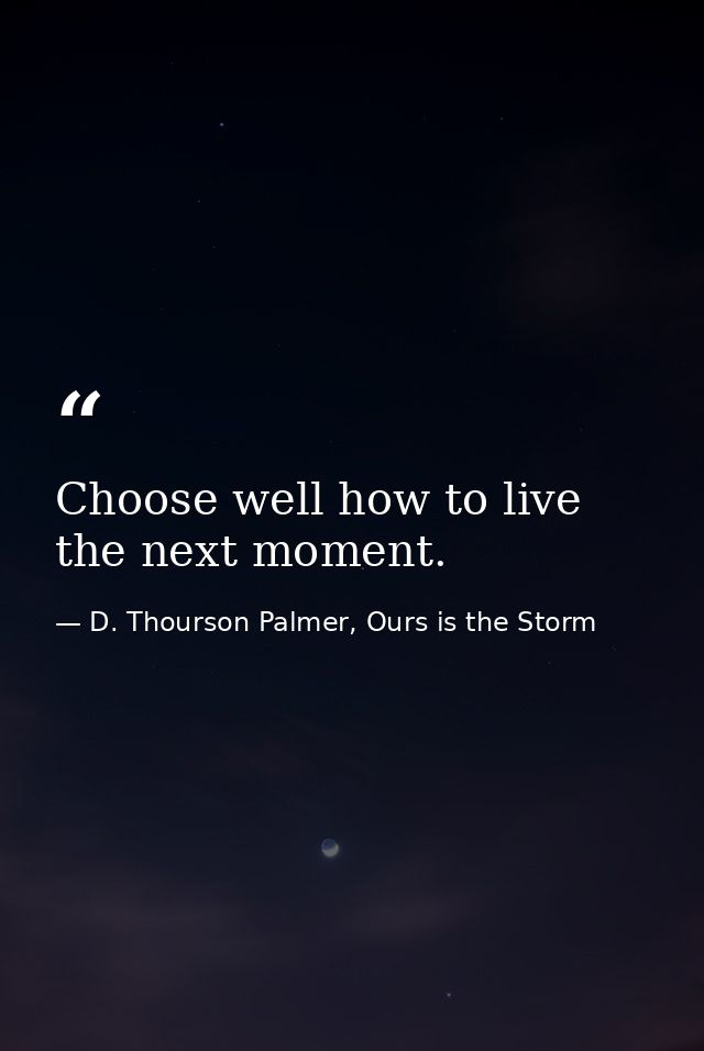 Choose well how to live the next moment. — D. Thourson Palmer, Ours is the Storm