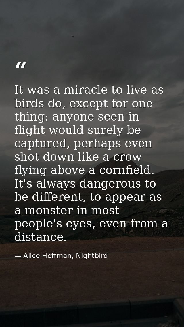 It was a miracle to live as birds do, except for one thing: anyone seen in flight would surely be captured, perhaps even — Alice Hoffman, Nightbird
