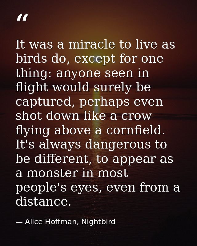 It was a miracle to live as birds do, except for one thing: anyone seen in flight would surely be captured, perhaps even — Alice Hoffman, Nightbird