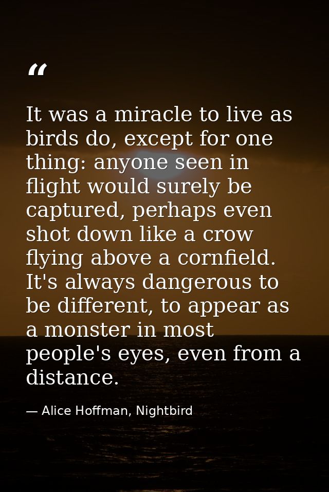 It was a miracle to live as birds do, except for one thing: anyone seen in flight would surely be captured, perhaps even — Alice Hoffman, Nightbird