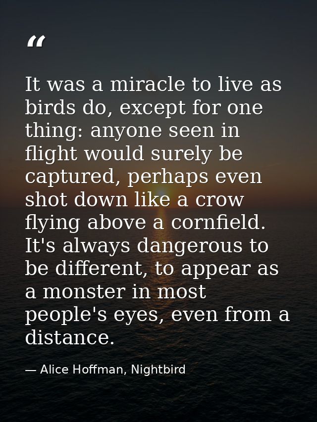 It was a miracle to live as birds do, except for one thing: anyone seen in flight would surely be captured, perhaps even — Alice Hoffman, Nightbird