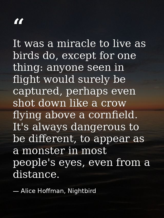It was a miracle to live as birds do, except for one thing: anyone seen in flight would surely be captured, perhaps even — Alice Hoffman, Nightbird