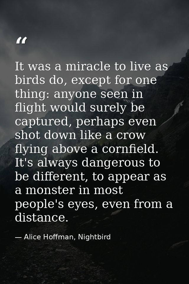 It was a miracle to live as birds do, except for one thing: anyone seen in flight would surely be captured, perhaps even — Alice Hoffman, Nightbird