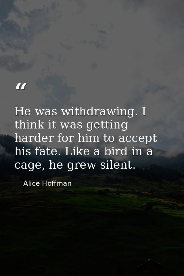 He was withdrawing. I think it was getting harder for him to accept his fate. Like a bird in a cage, he grew silent. — Alice Hoffman