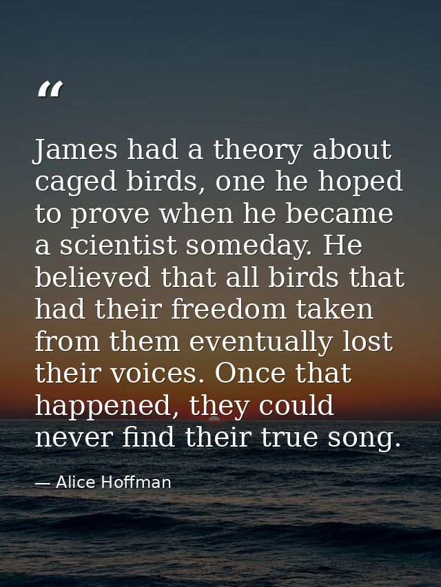 James had a theory about caged birds, one he hoped to prove when he became a scientist someday. He believed that all bir — Alice Hoffman