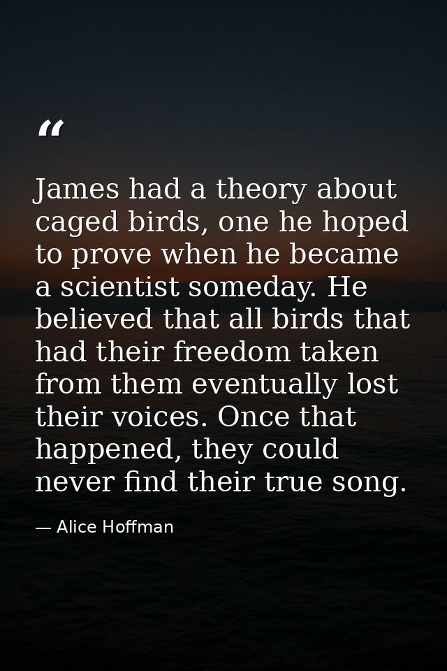 James had a theory about caged birds, one he hoped to prove when he became a scientist someday. He believed that all bir — Alice Hoffman